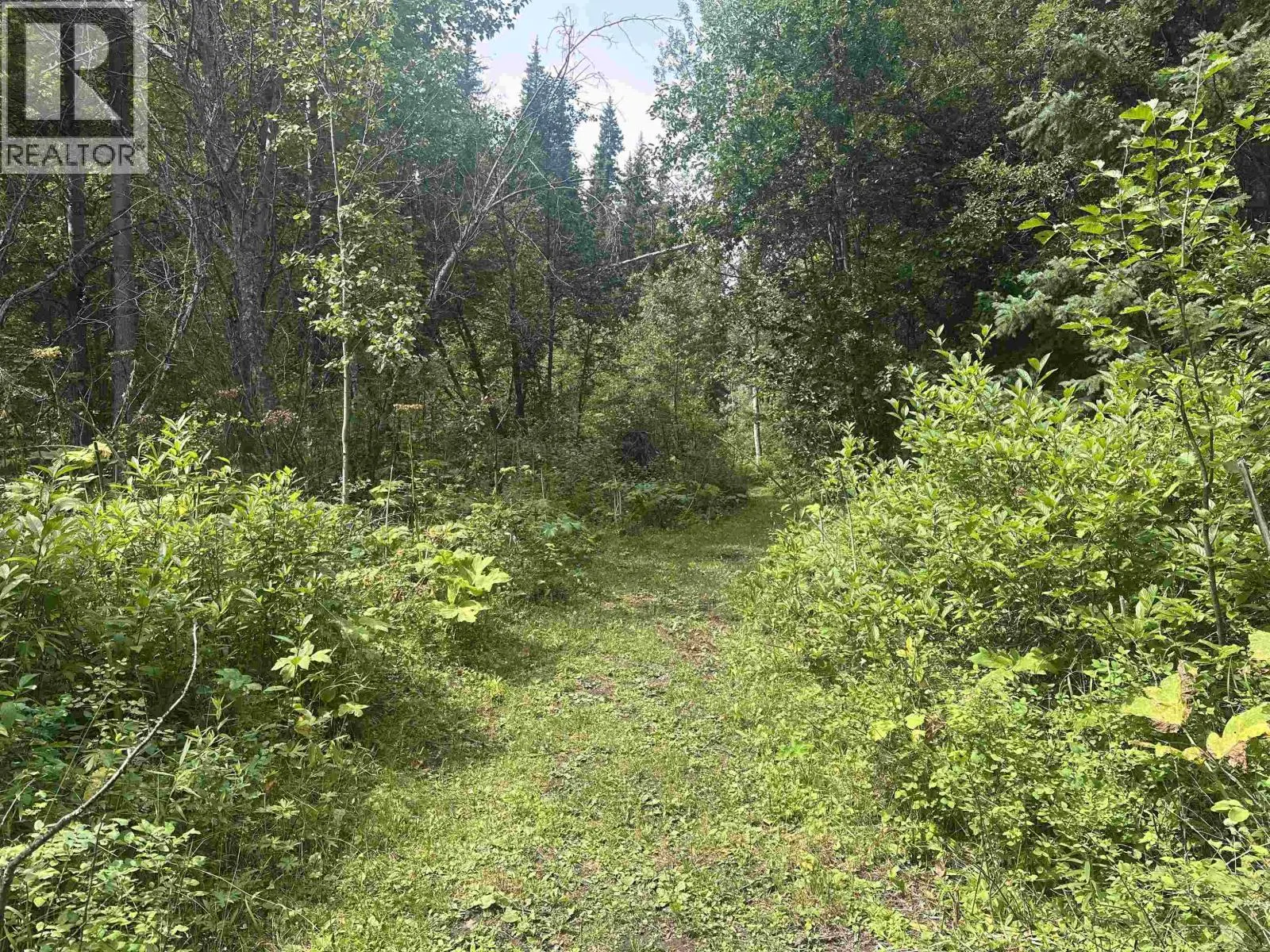 LOT 4 W BIG LAKE ROAD