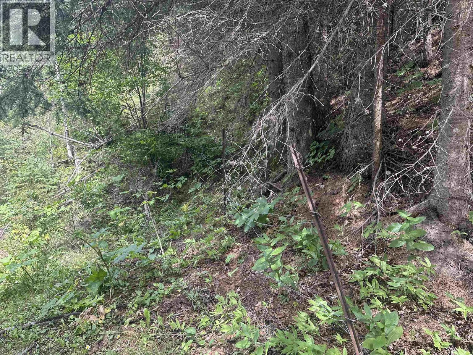 LOT 4 W BIG LAKE ROAD