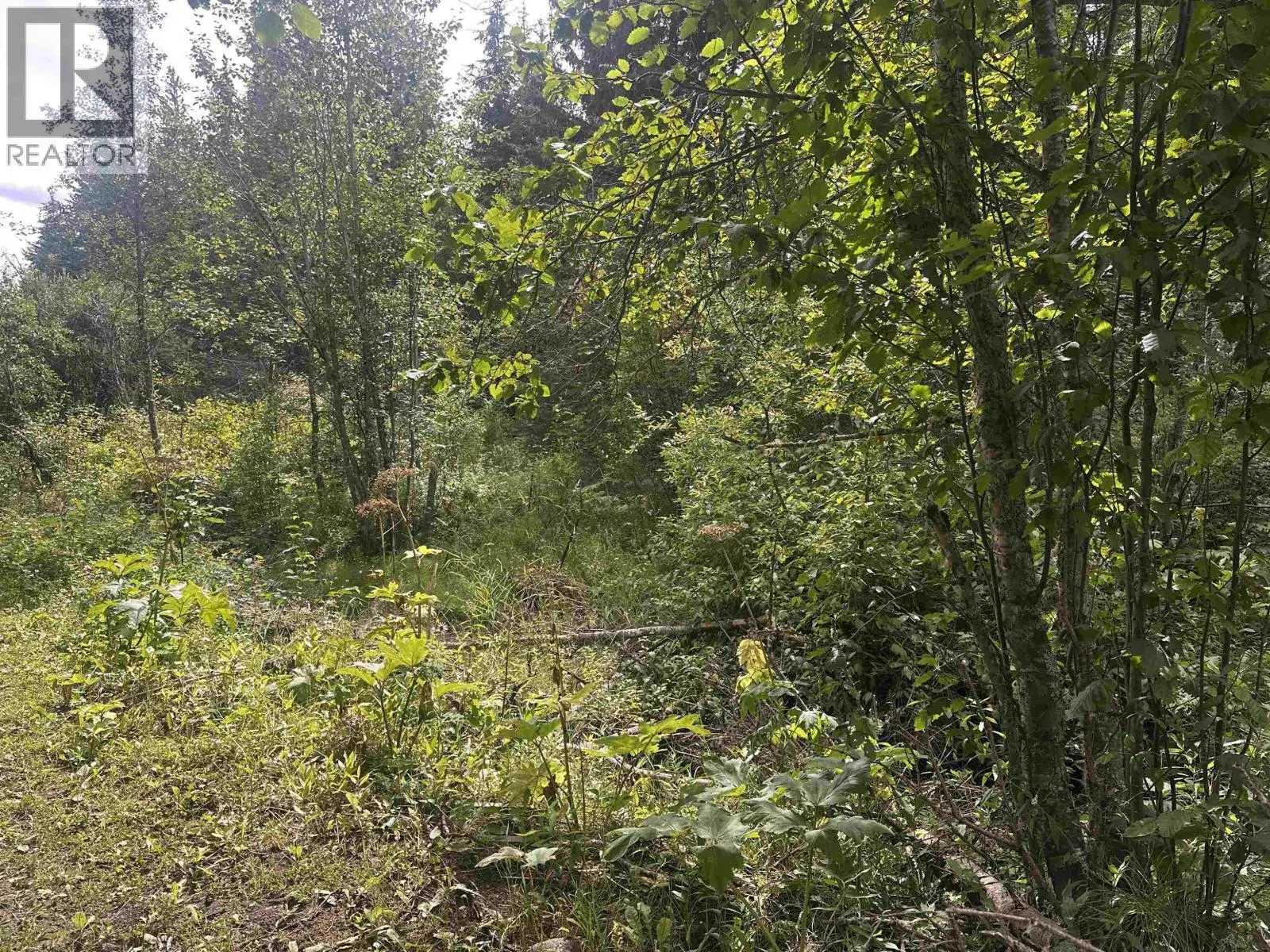 LOT 4 W BIG LAKE ROAD
