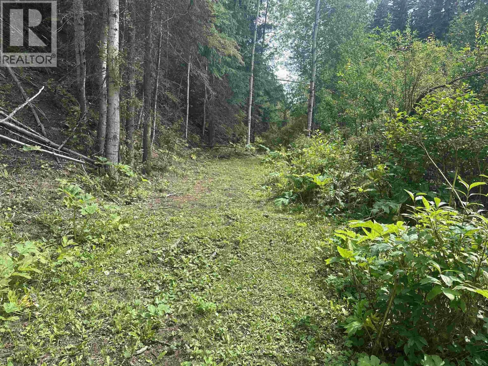 LOT 4 W BIG LAKE ROAD