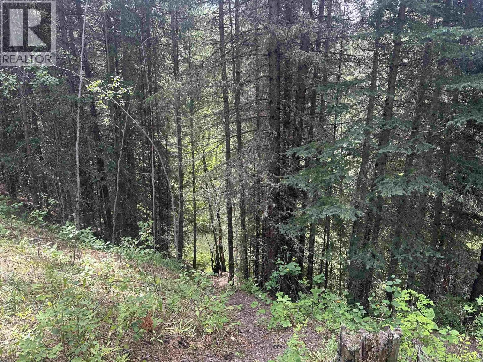 LOT 4 W BIG LAKE ROAD