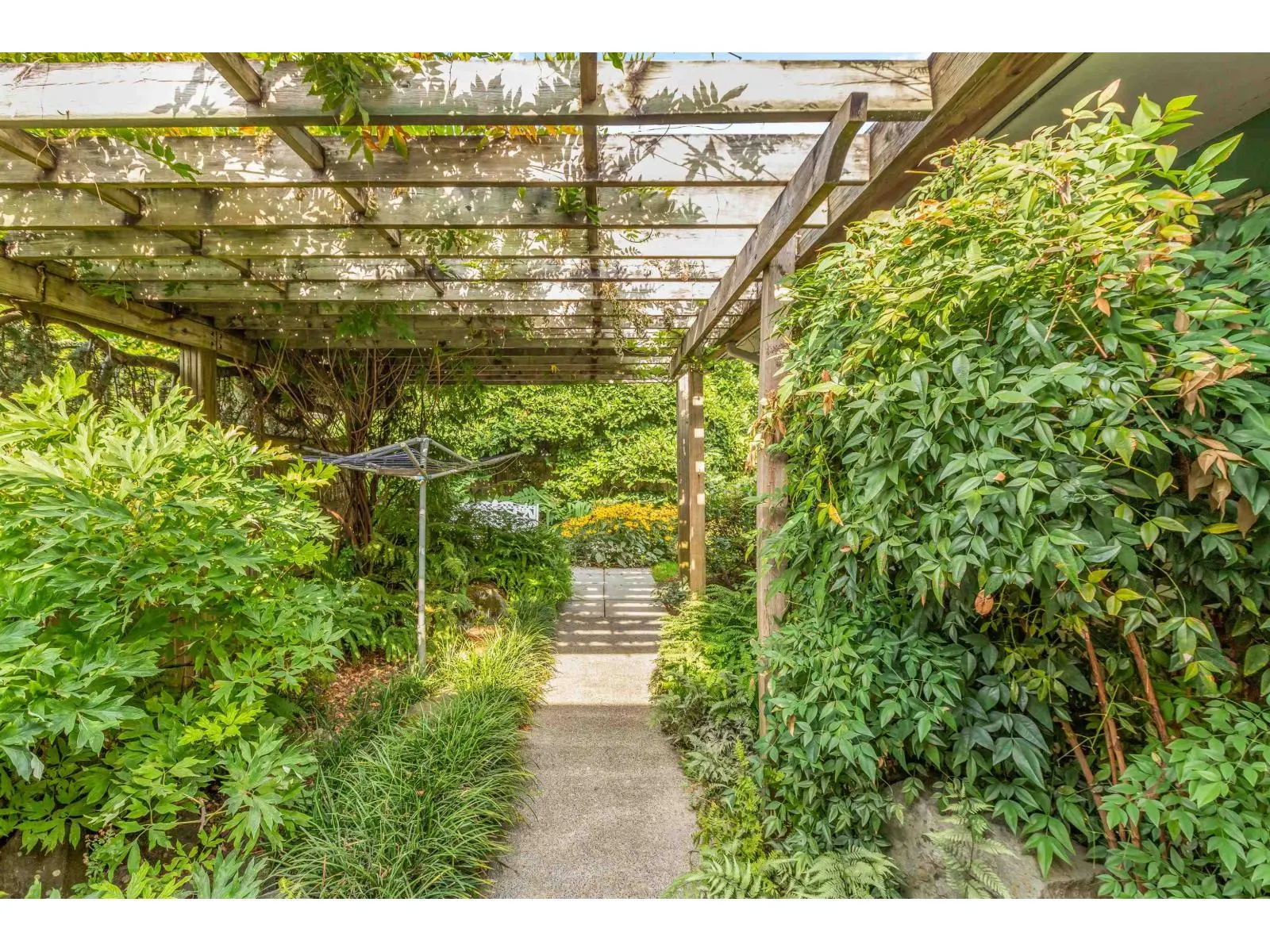 46011 CLARKE DRIVE|Chilliwack Proper East