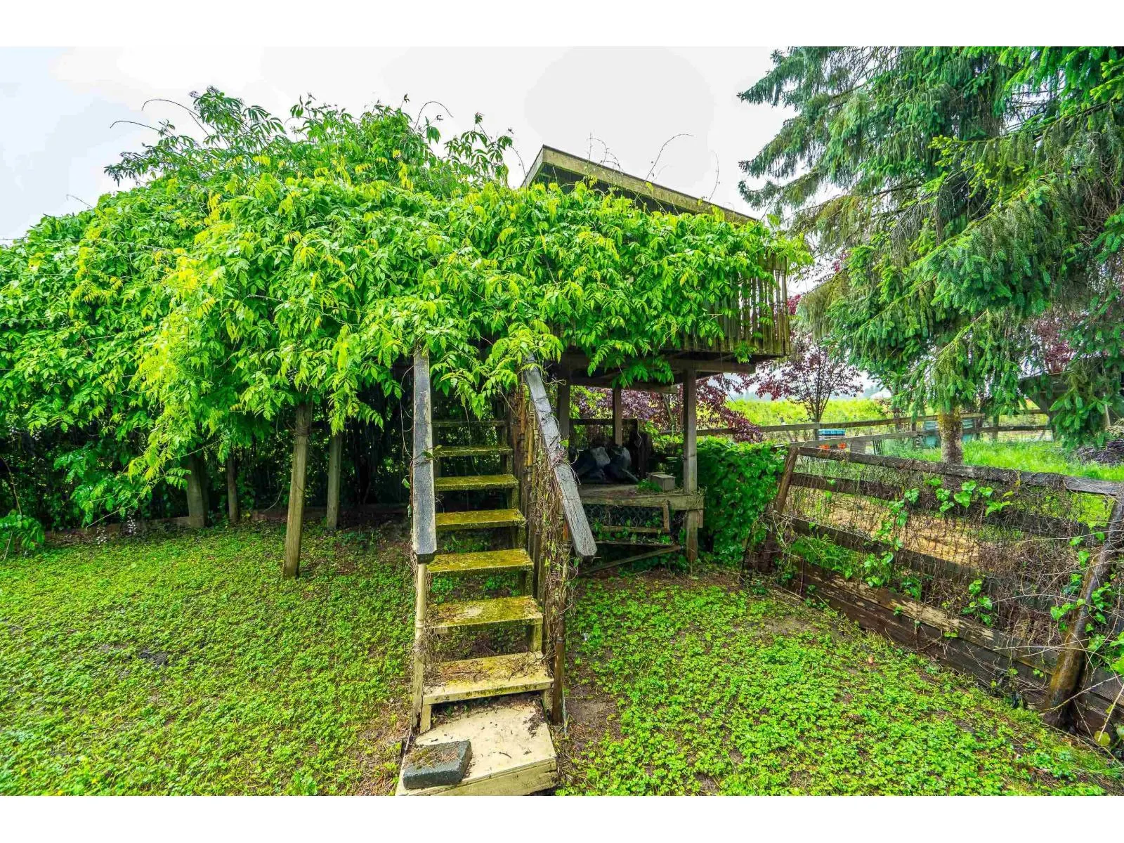 28995 MCTAVISH ROAD