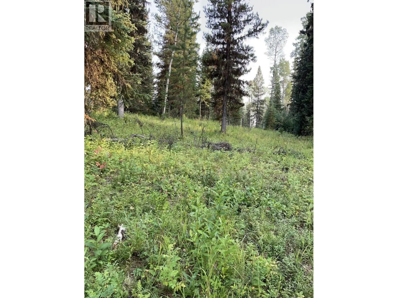 8120 GISCOME ROAD