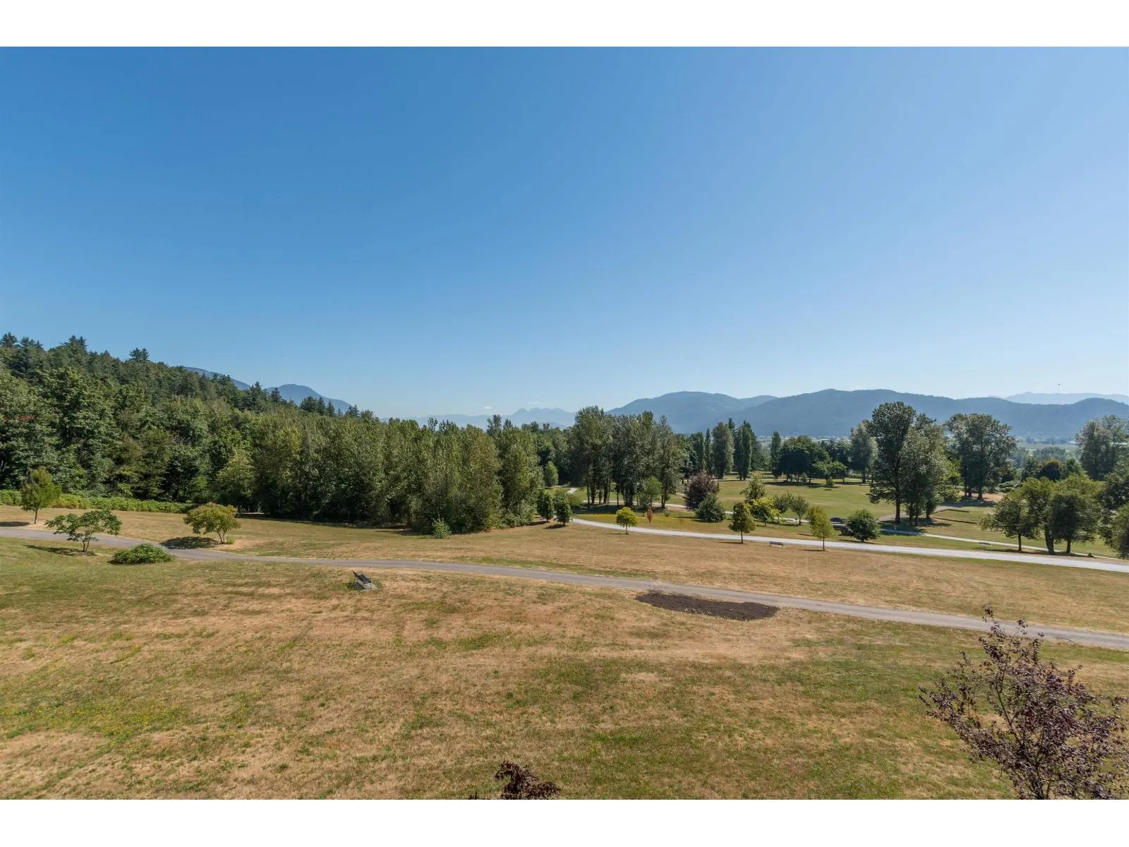 307 33755 7 AVENUE