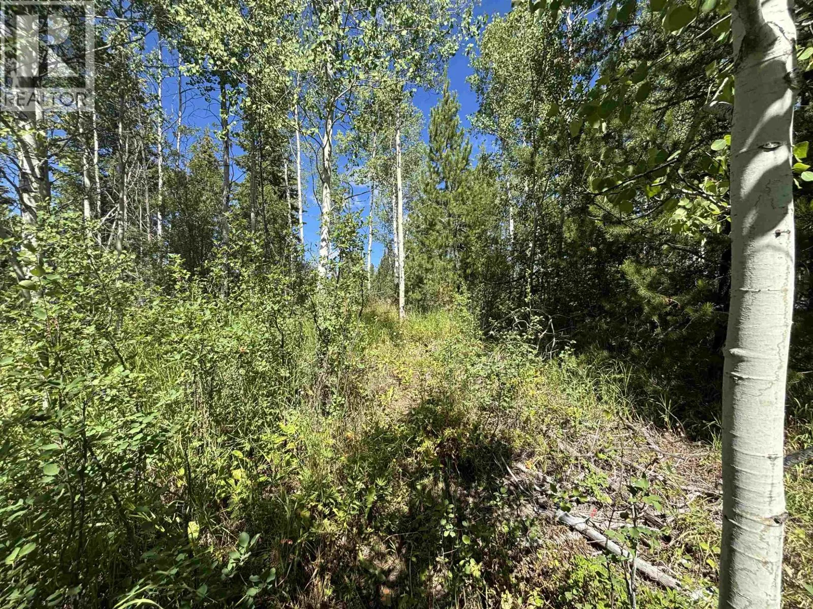LOT 66 BURGESS ROAD