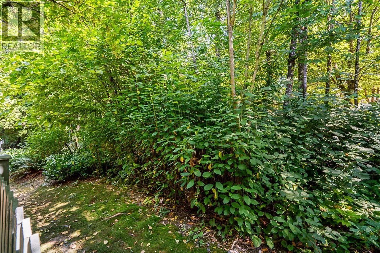 36 7465 MULBERRY PLACE