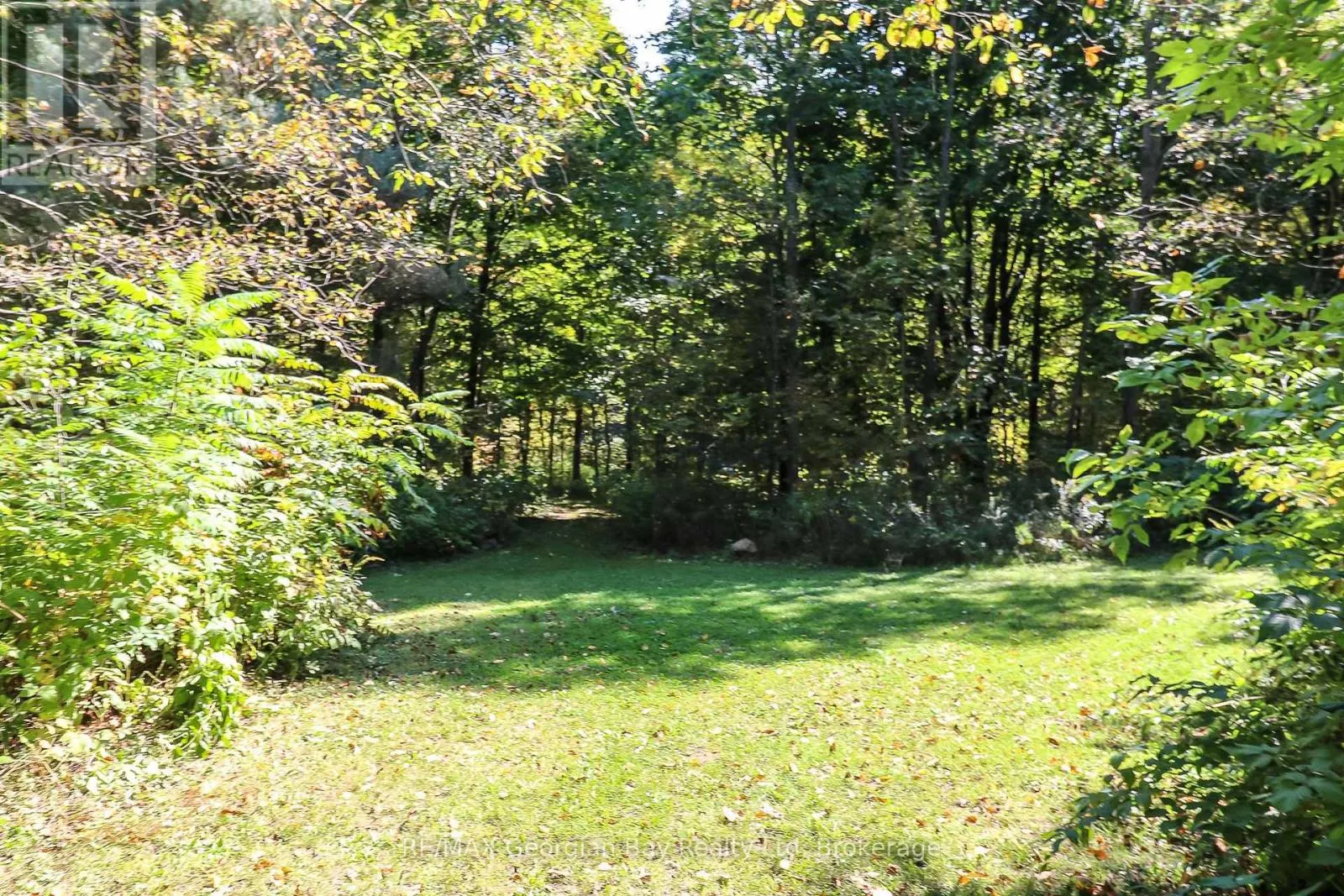 326 BLUEBERRY MARSH ROAD