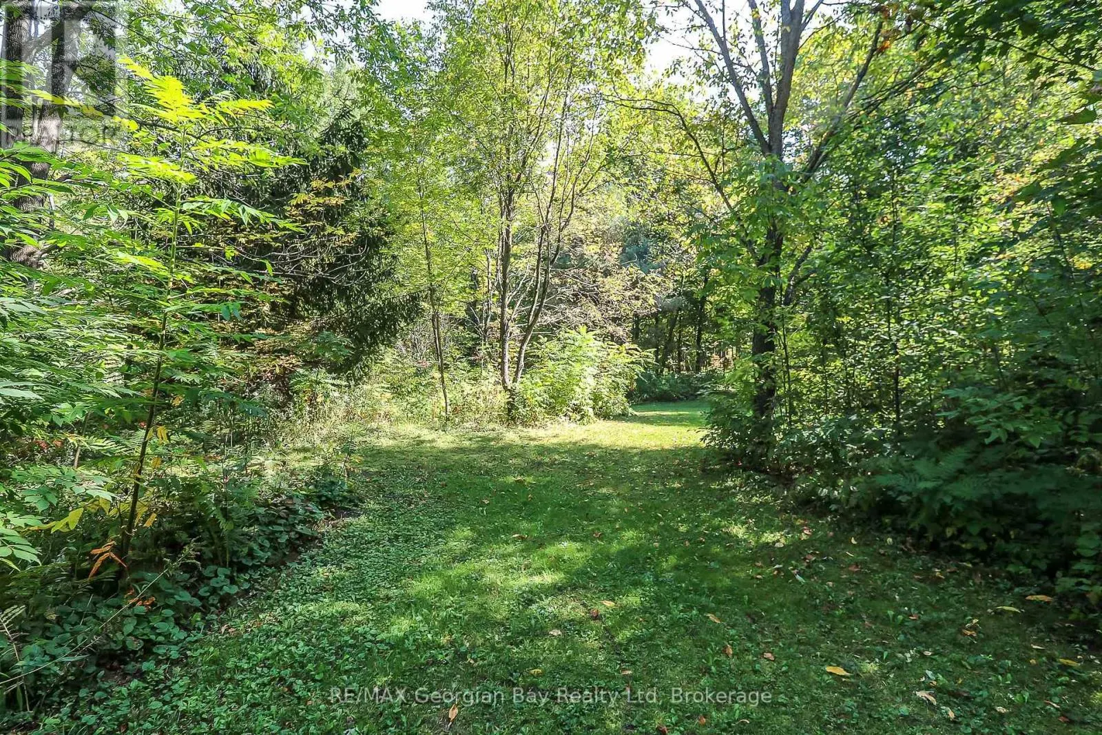 326 BLUEBERRY MARSH ROAD