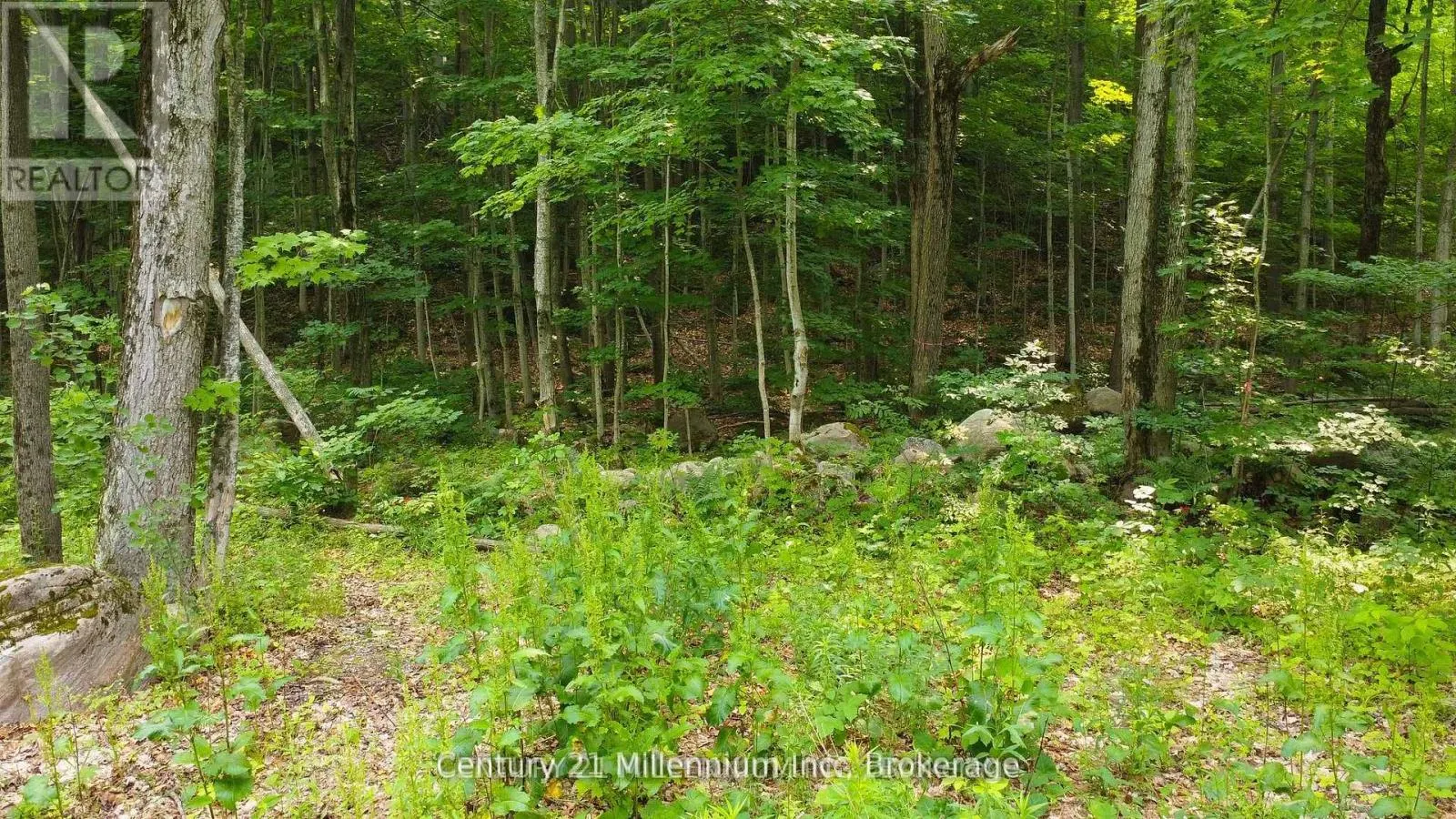 LOT 52 TINY BEACHES ROAD N
