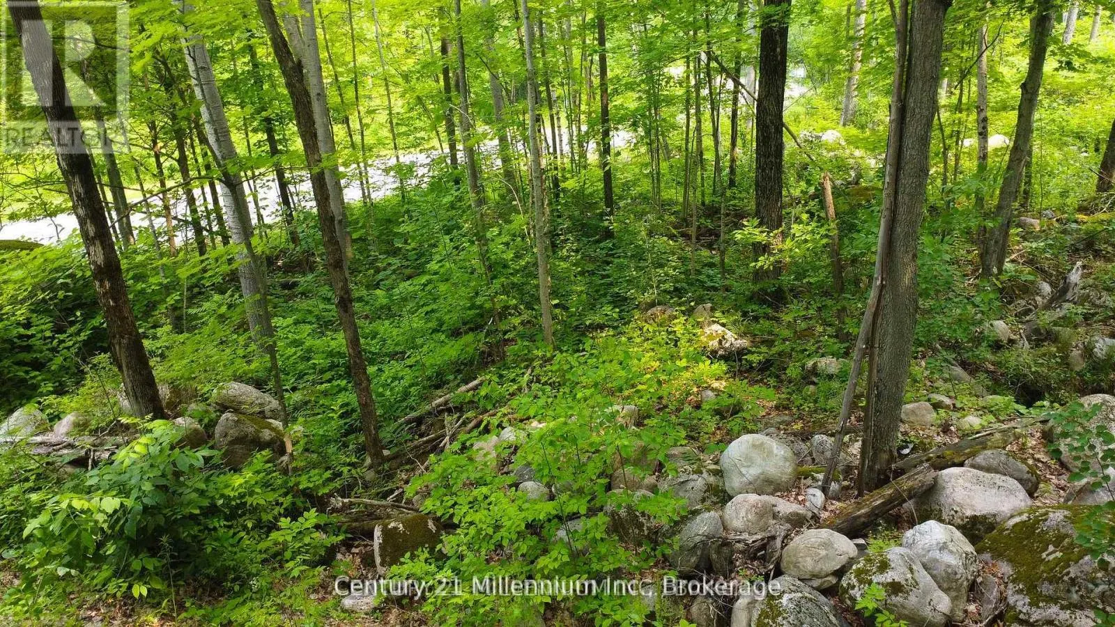 LOT 52 TINY BEACHES ROAD N