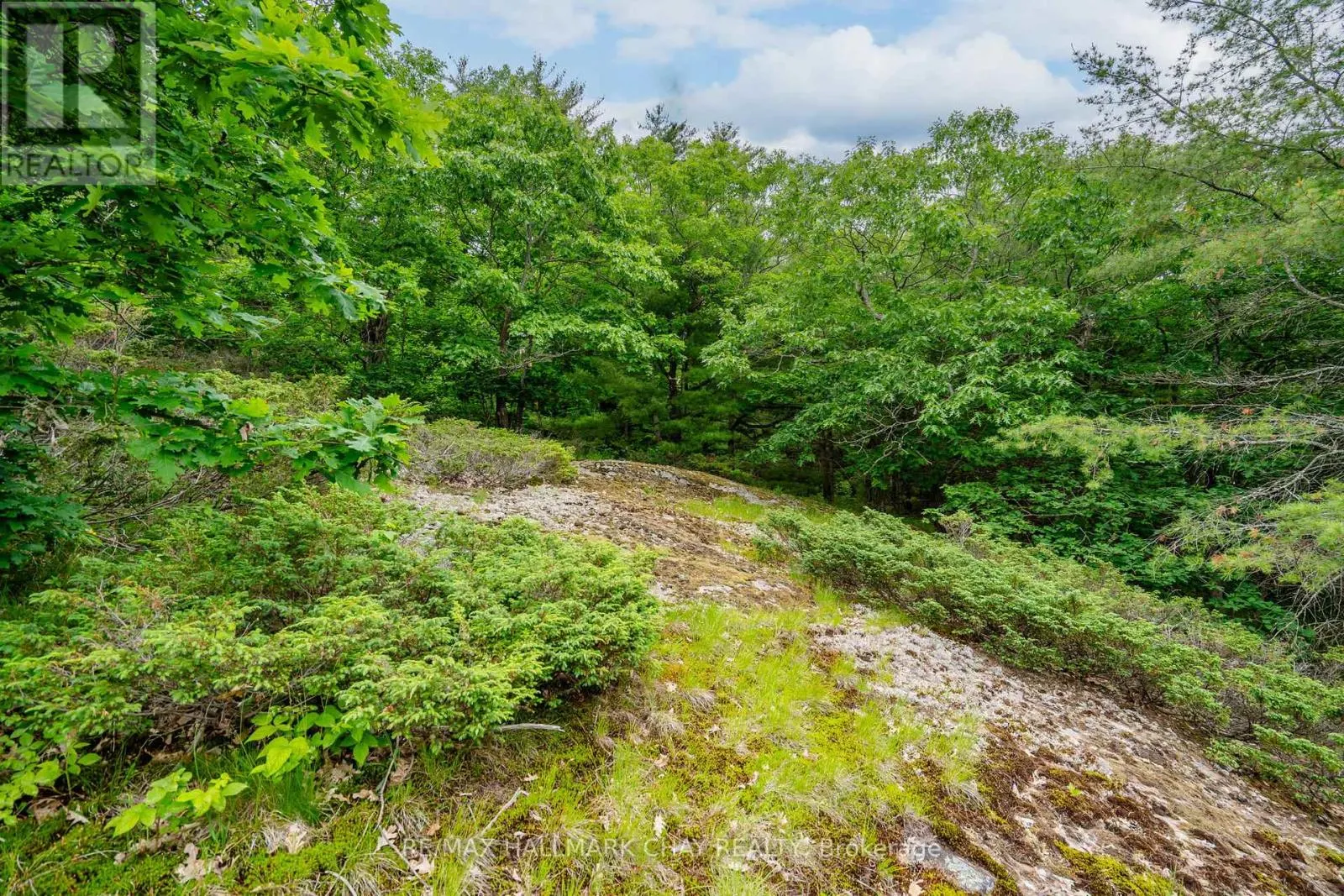 LOT 2 DELTA ROAD