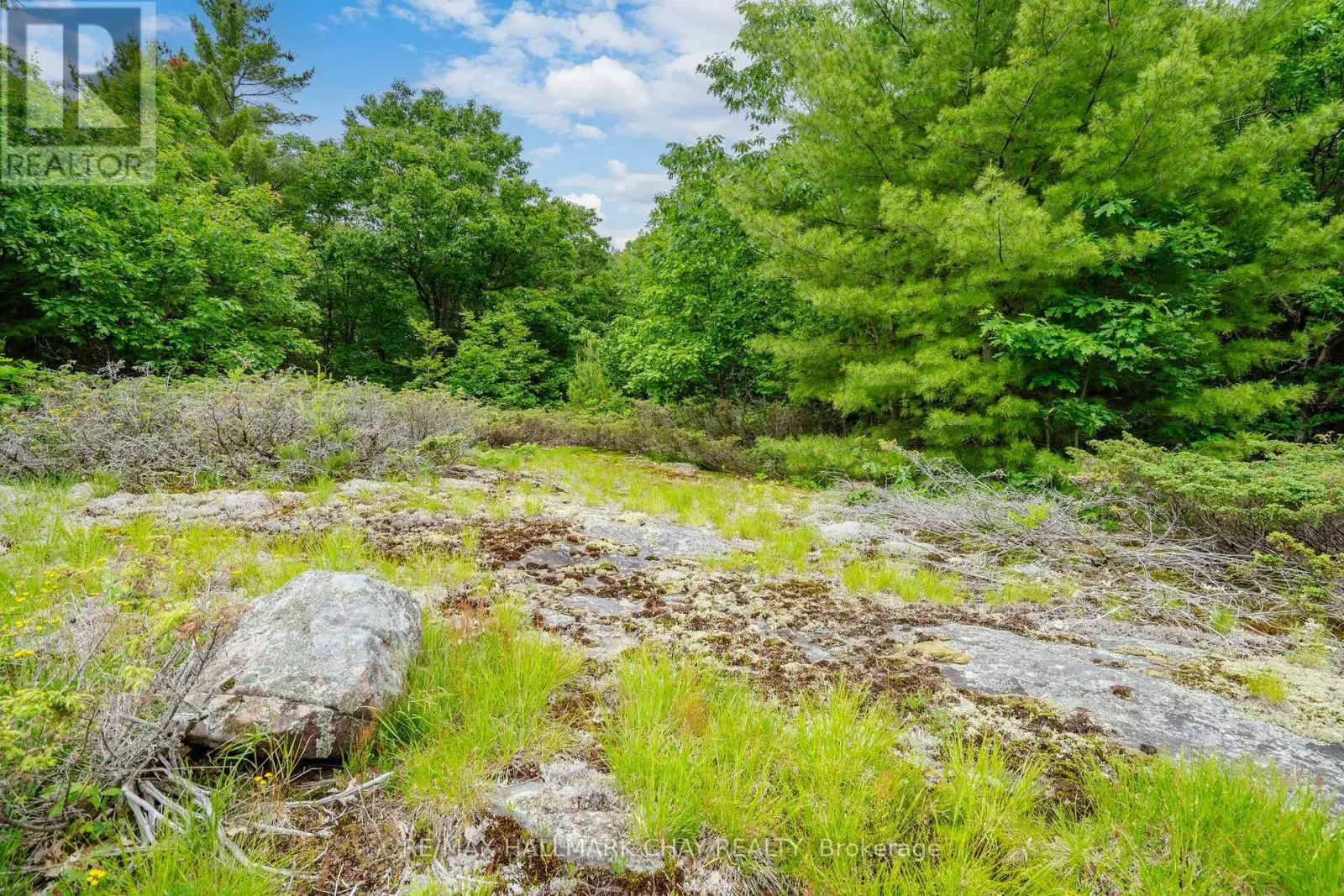 LOT 2 DELTA ROAD
