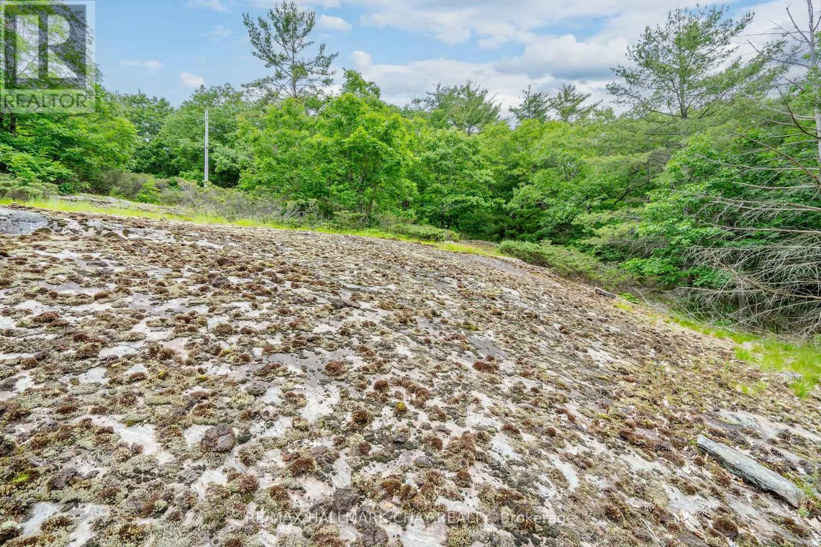 LOT 2 DELTA ROAD
