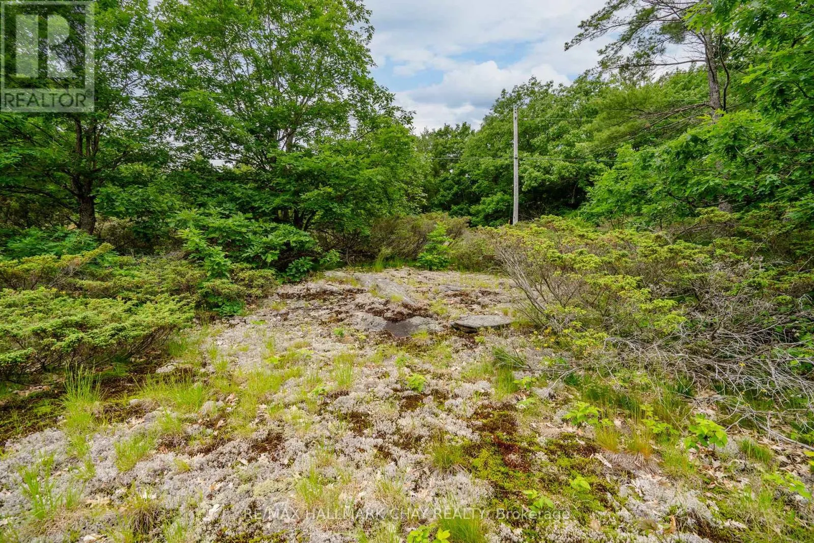 LOT 2 DELTA ROAD