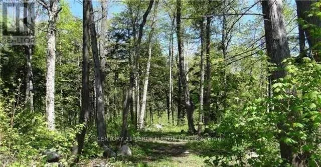 126 NIPPISSING RIDGE ROAD