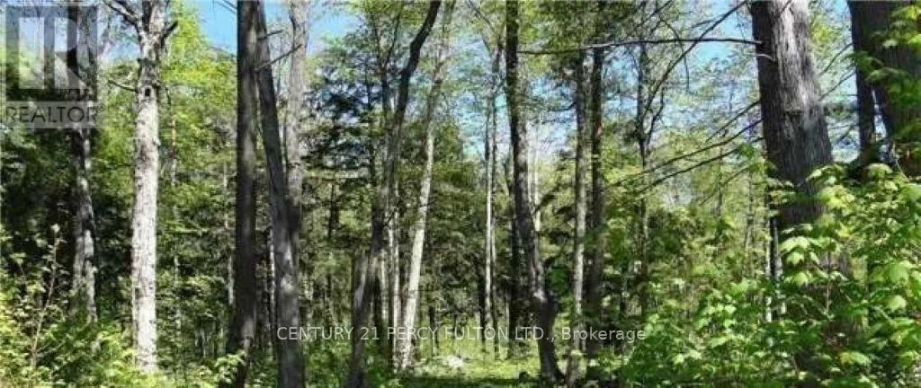 118 NIPPISSING RIDGE ROAD