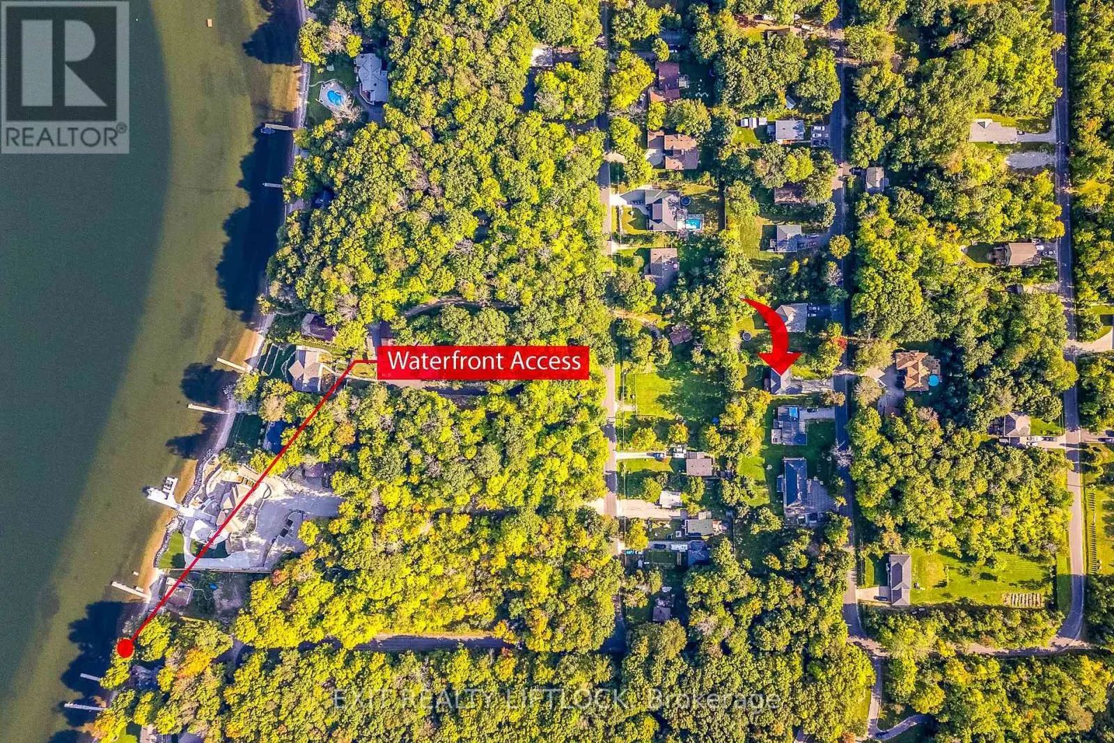 77 POLISH AVENUE