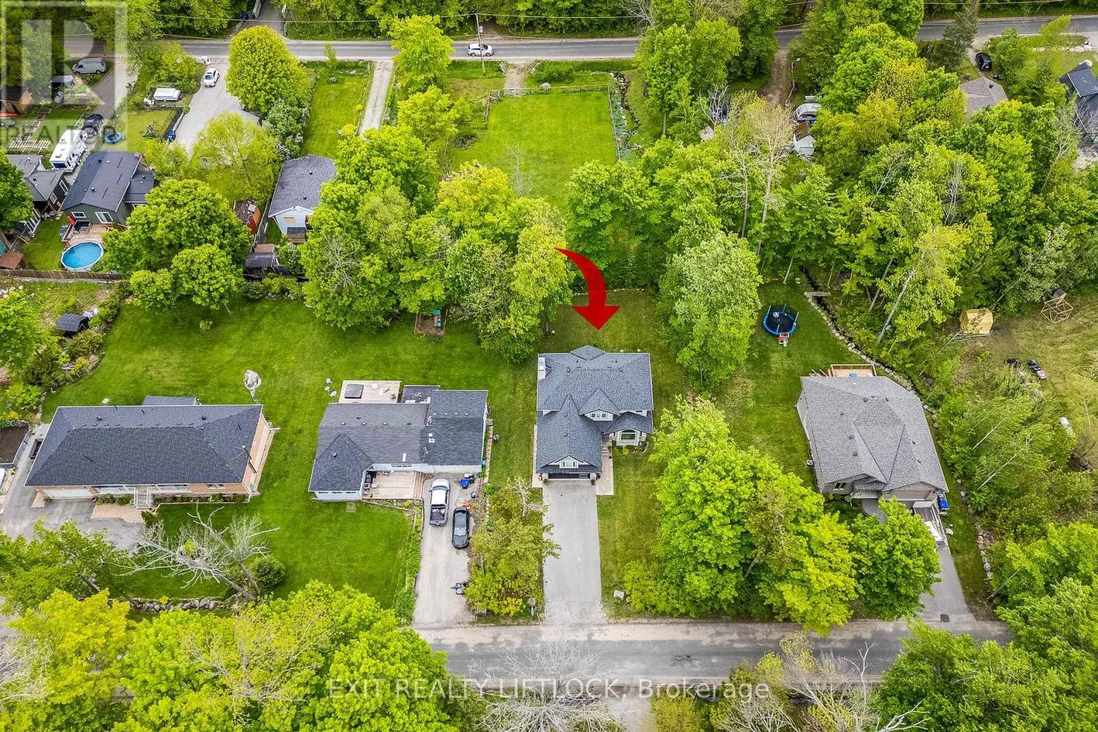 77 POLISH AVENUE
