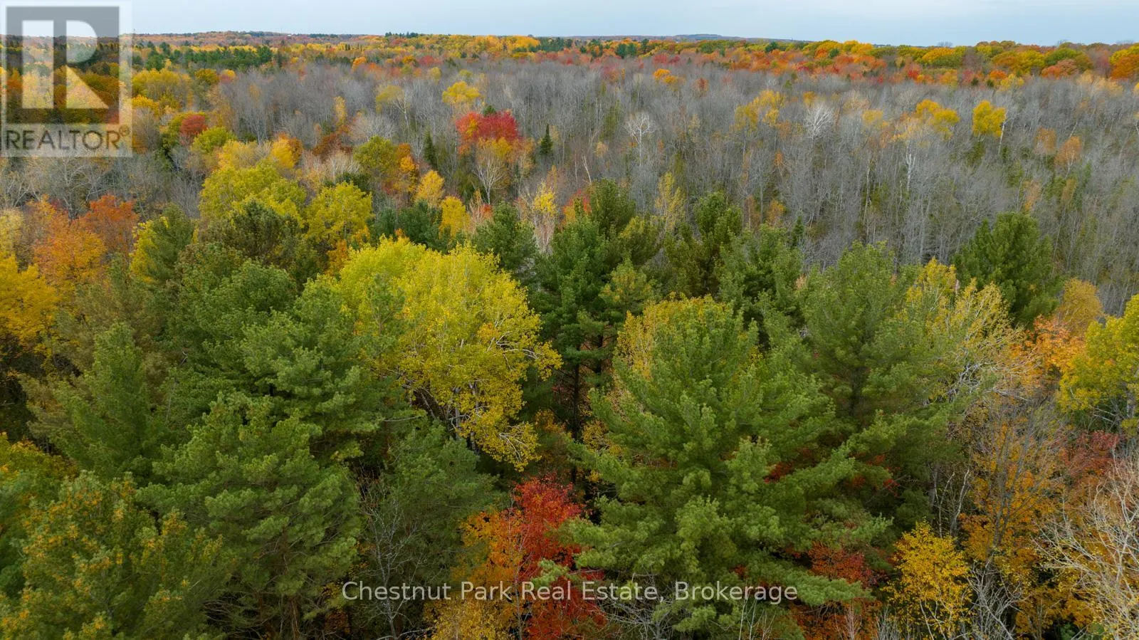 PT LT 18 CONCESSION 13 W