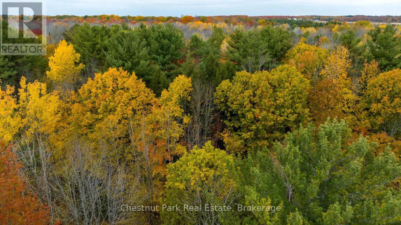 PT LT 18 CONCESSION 13 W