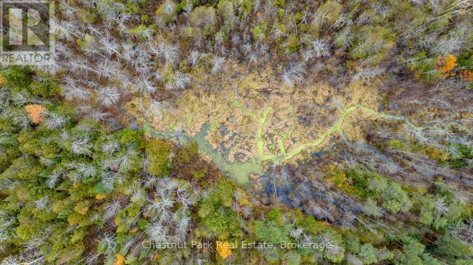 PT LT 18 CONCESSION 13 W