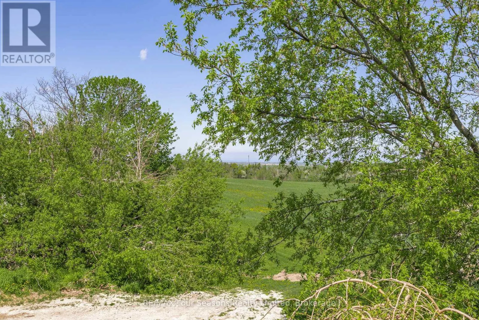 3 SYDENHAM TRAIL E