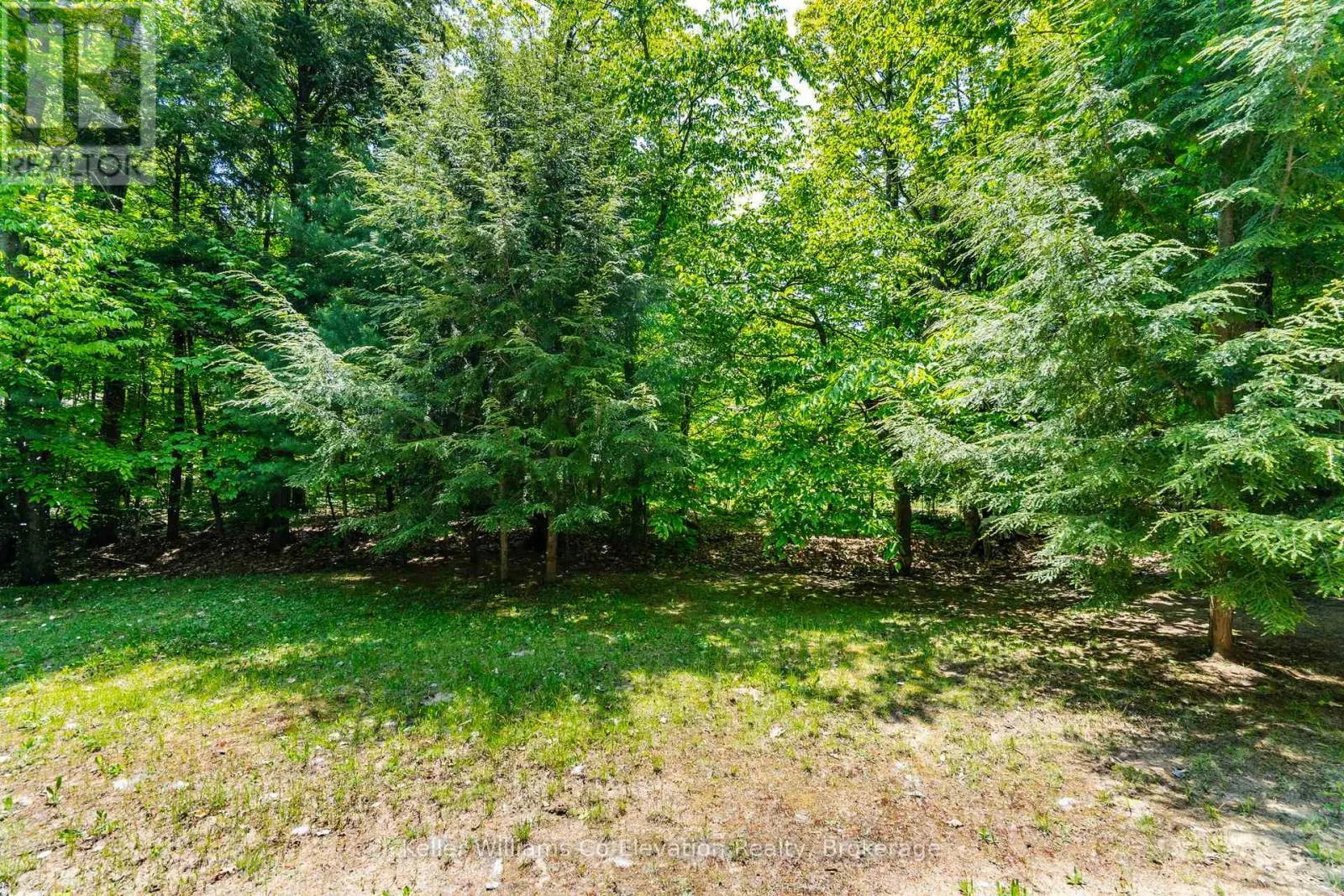 134 TALL PINES DRIVE