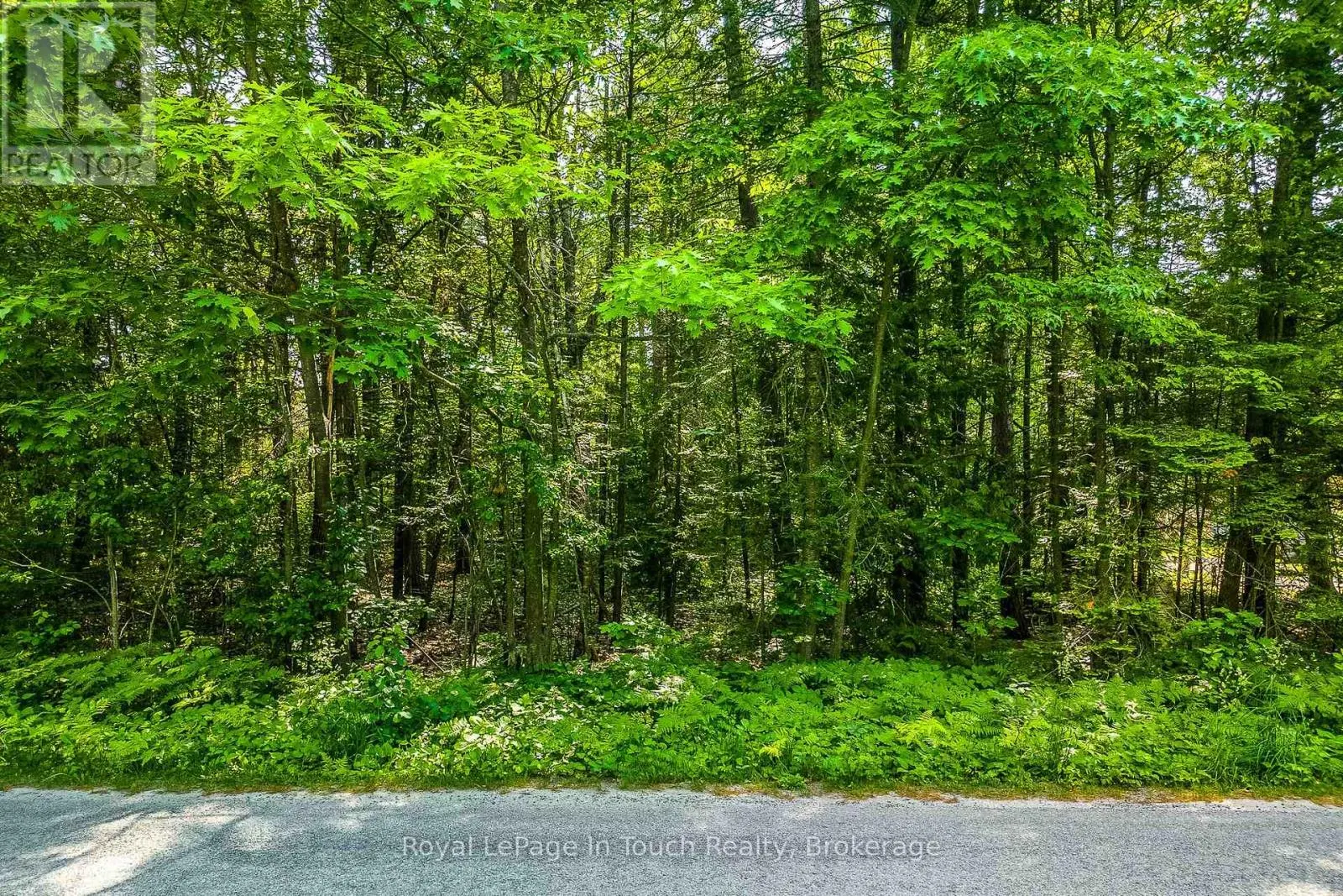 LOT 47 TROUT LANE
