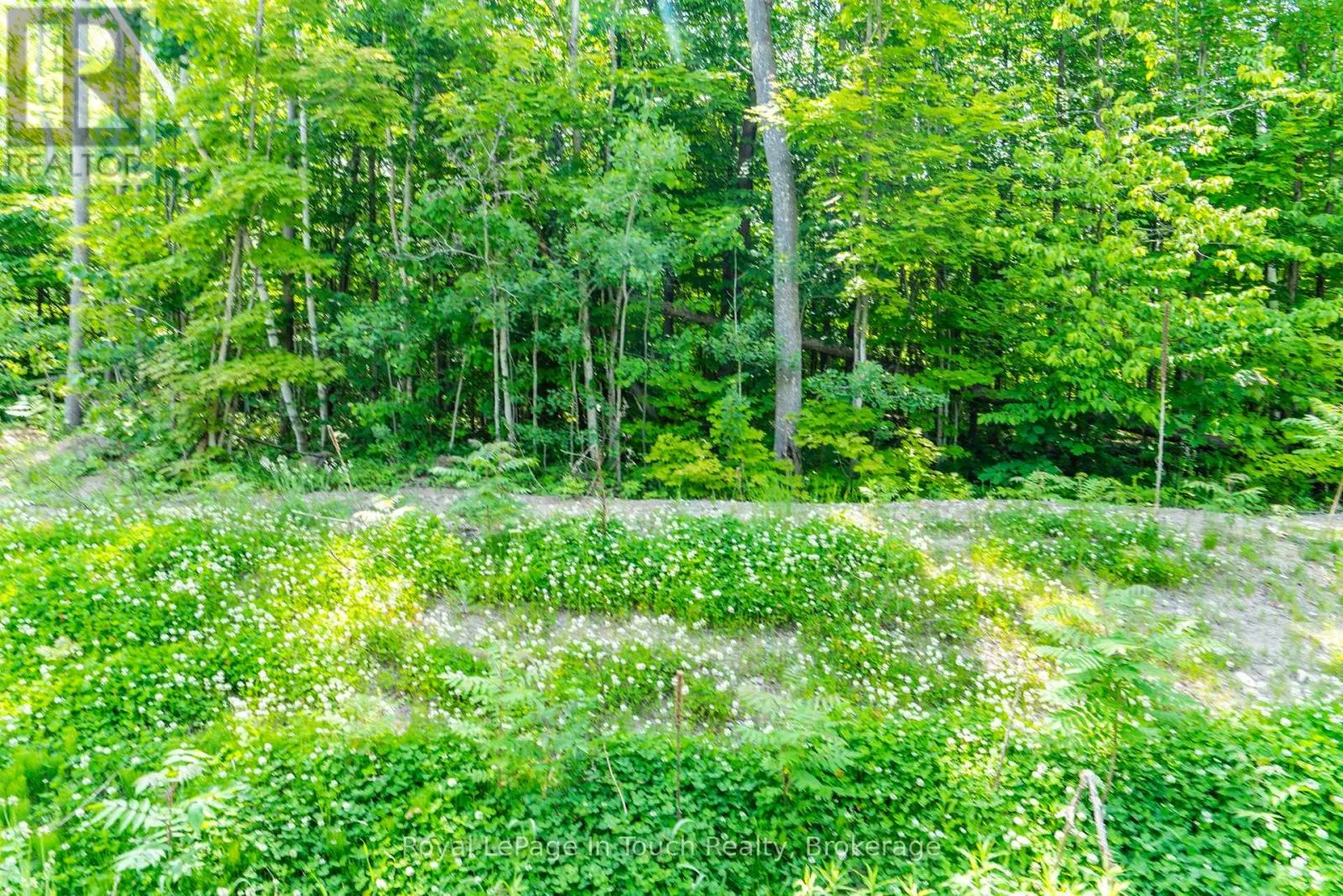 LOT 41 EXPLORERS LANDING