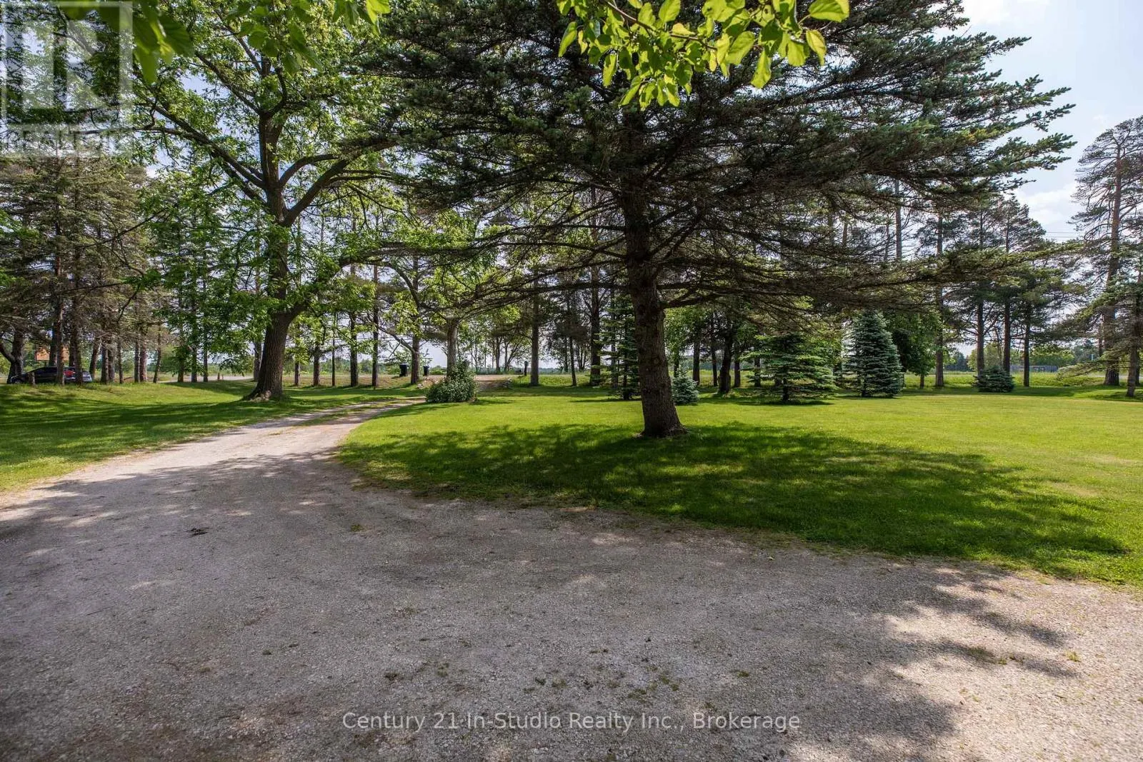3926 COUNTY ROAD 124 ROAD