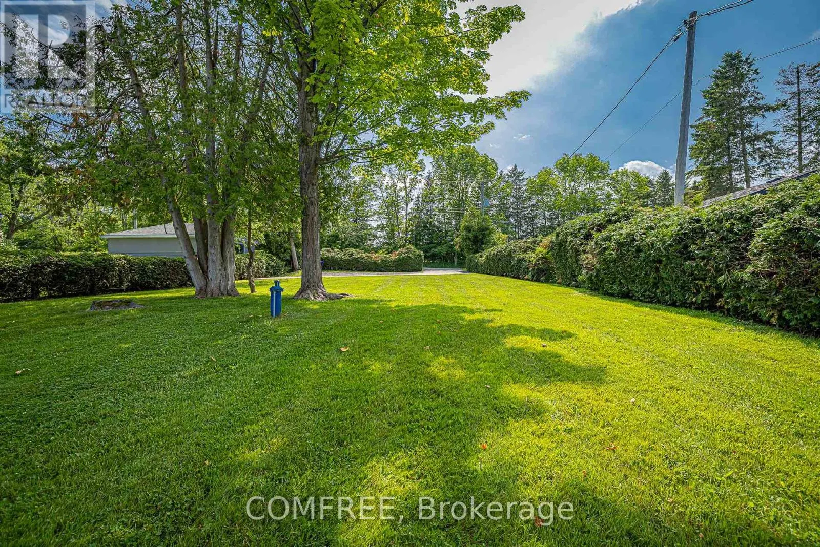 901 WOODLAND DRIVE