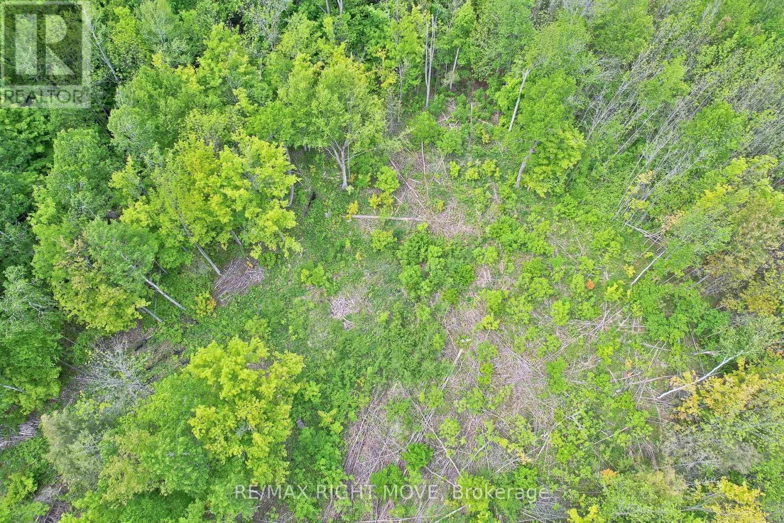 1382 WILSON POINT ROAD
