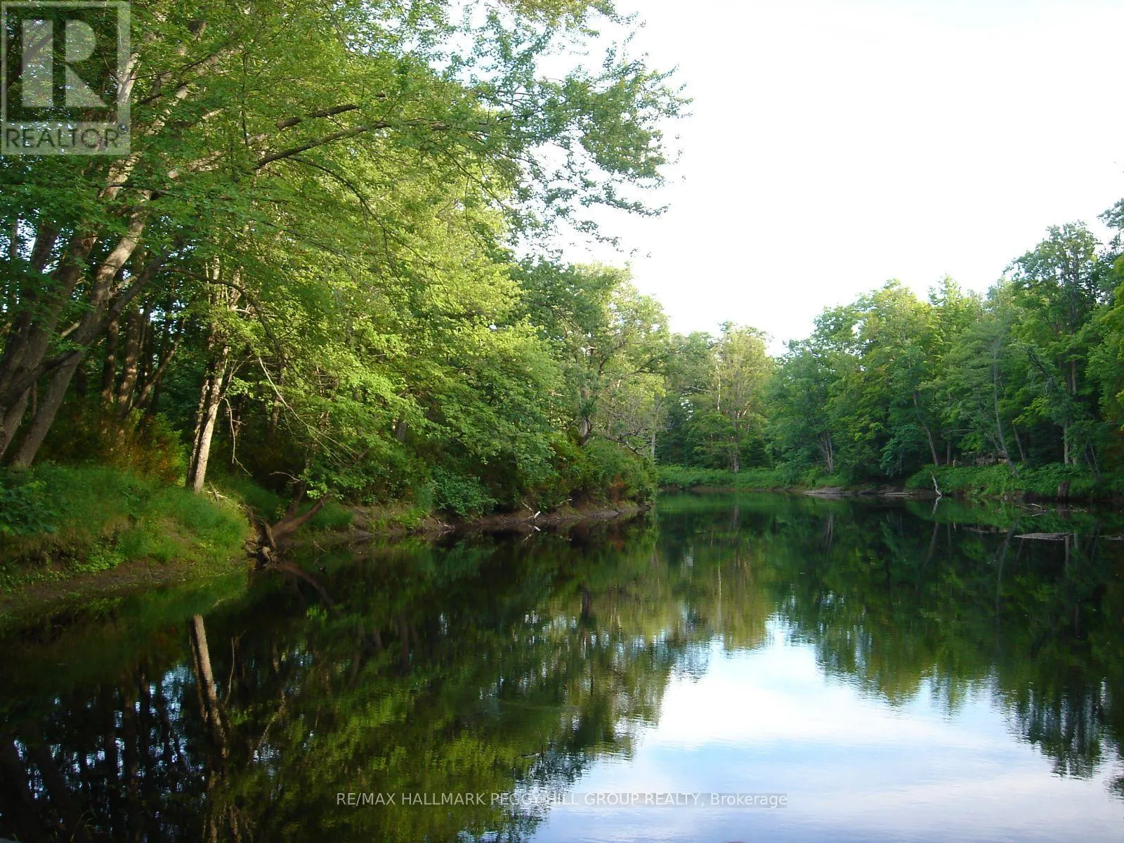 7012 COUNTY ROAD 169