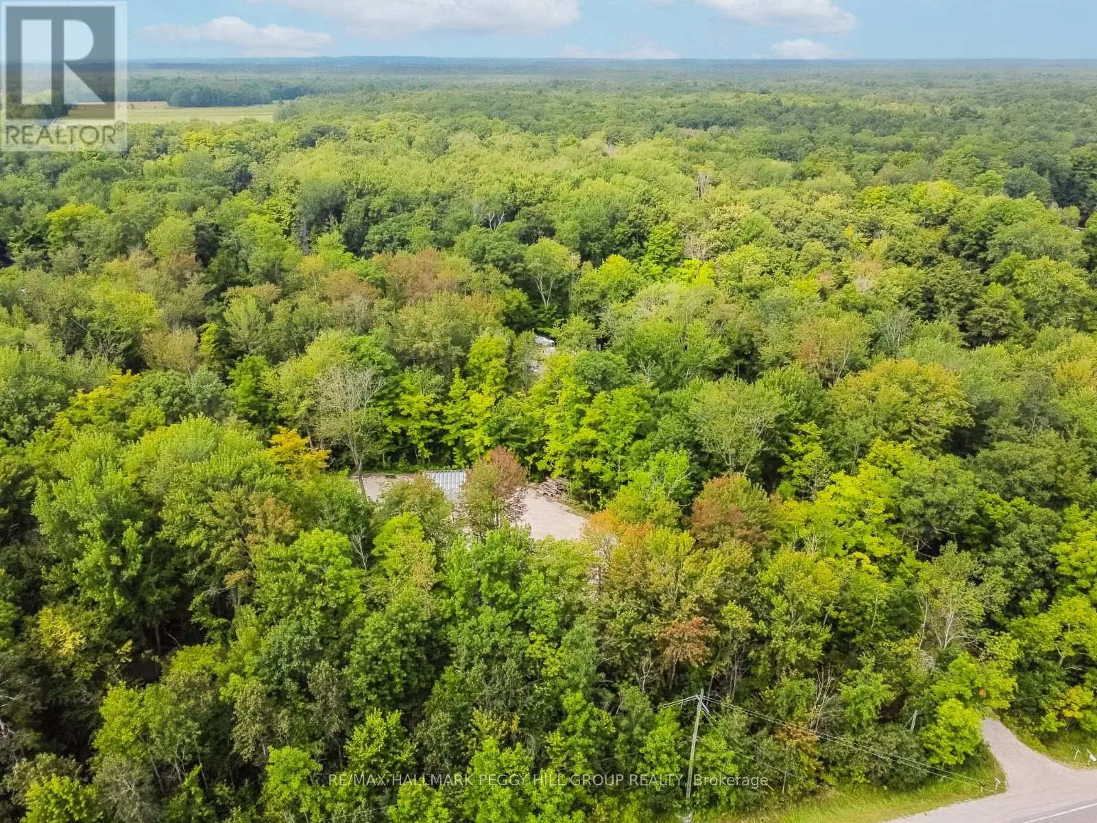 7012 COUNTY ROAD 169