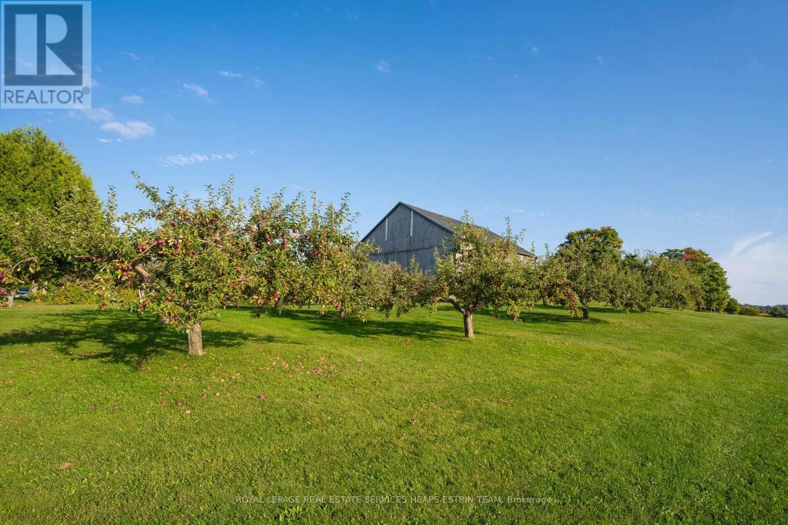 1609 NOTTAWASAGA CONCESSION 6 SOUTH