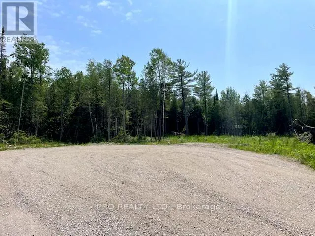 73 LESPERANCE ROAD