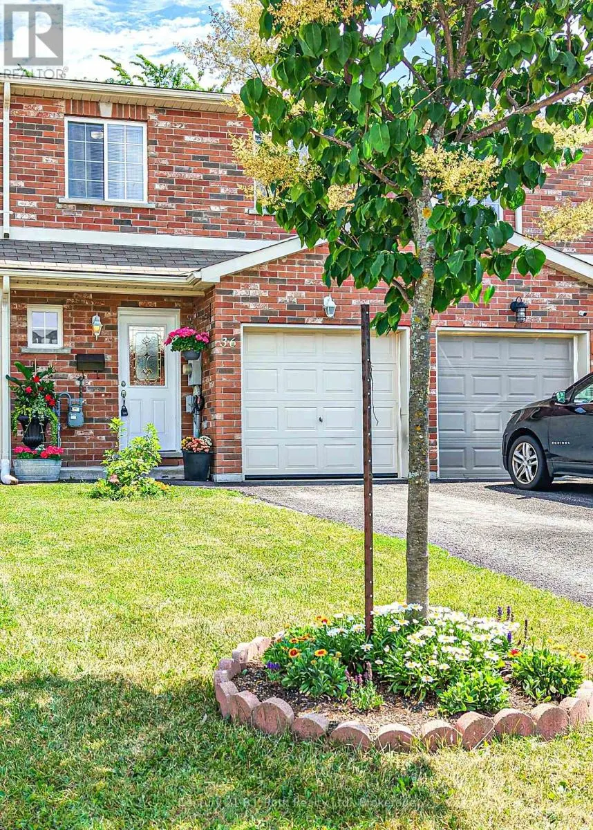 36 MICHELLE DRIVE