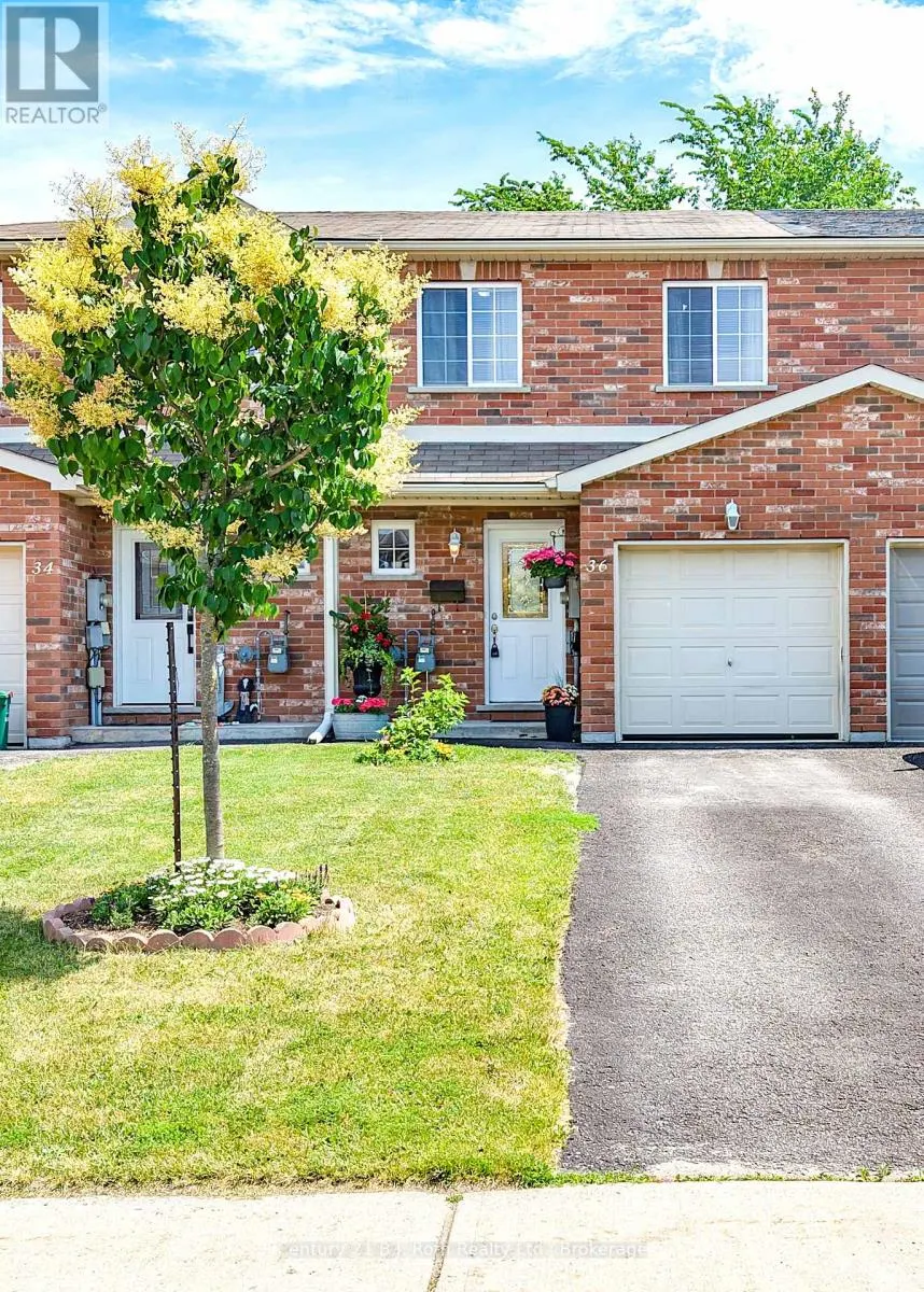 36 MICHELLE DRIVE