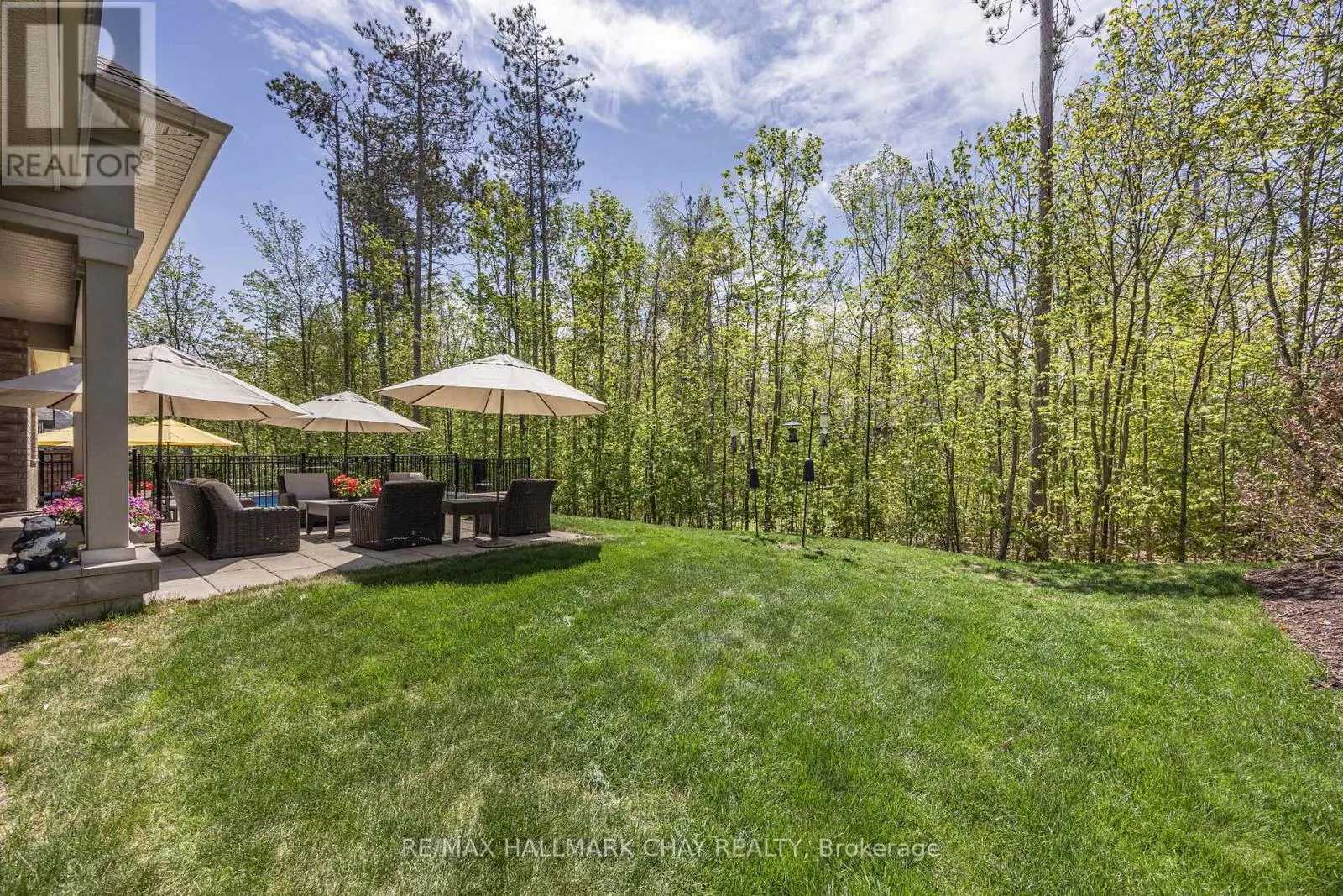 19 TIMBER WOLF TRAIL