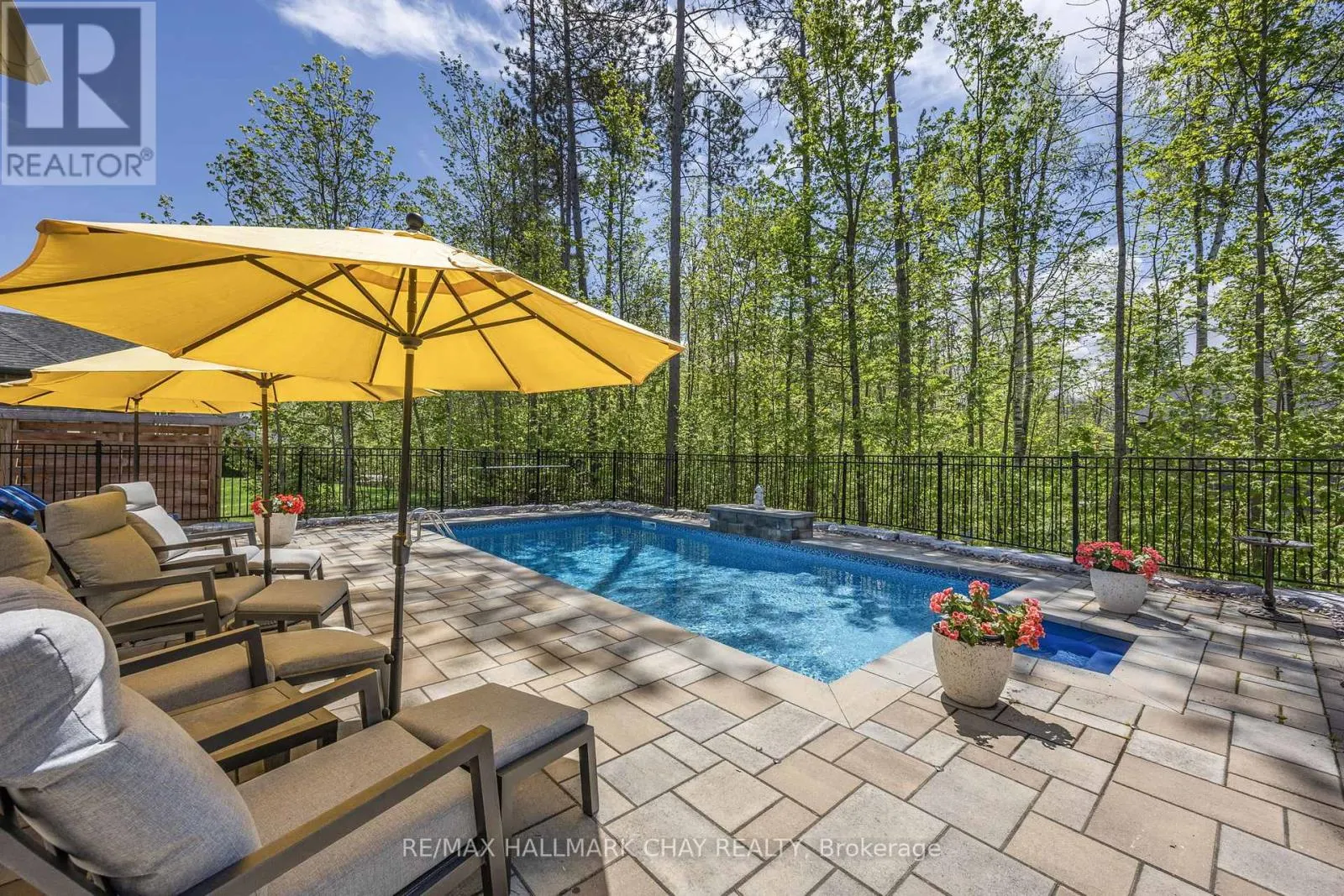 19 TIMBER WOLF TRAIL