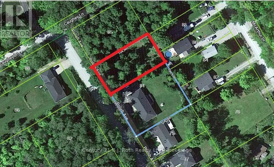 81 POLISH AVENUE