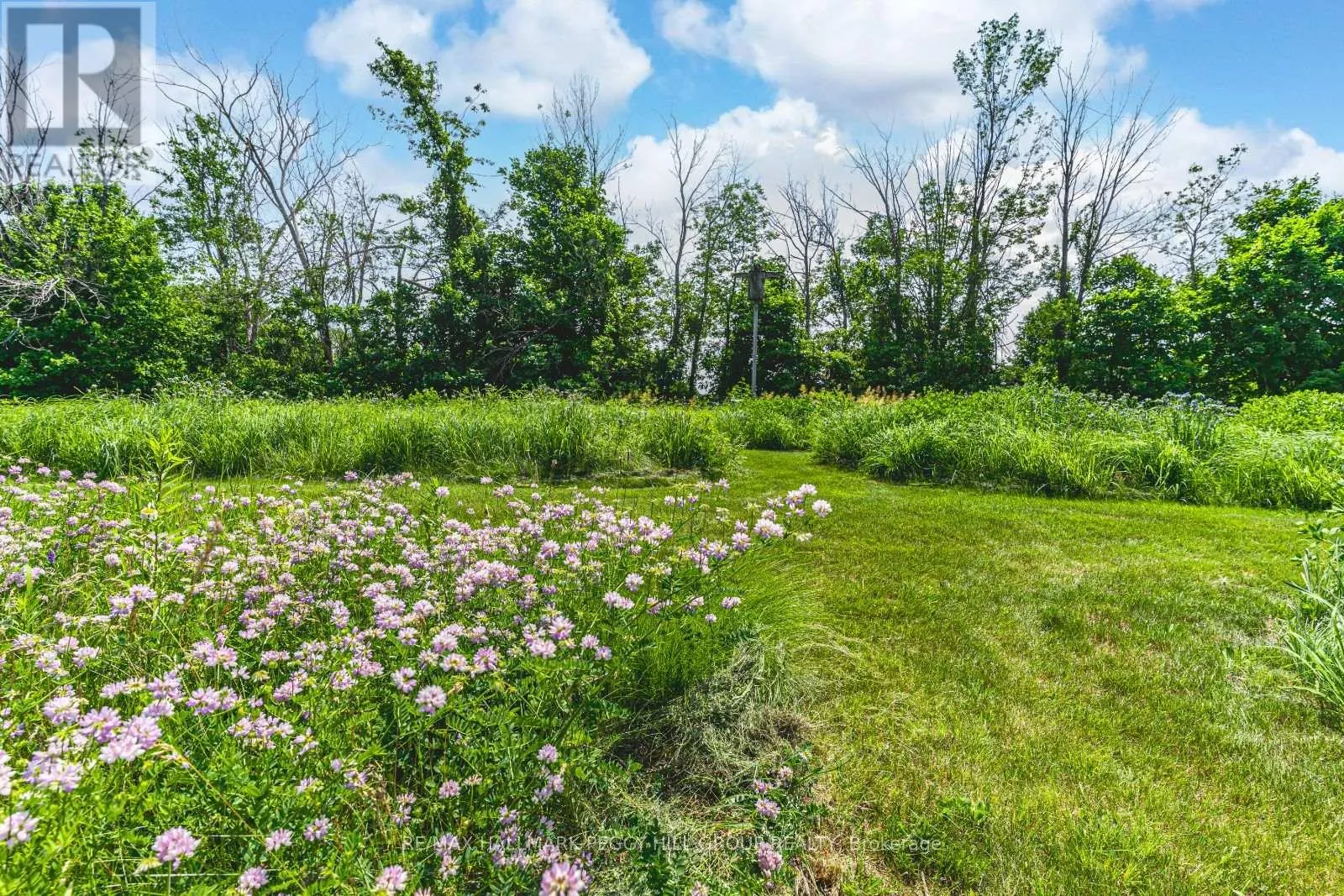 10195 HIGHWAY 12 W