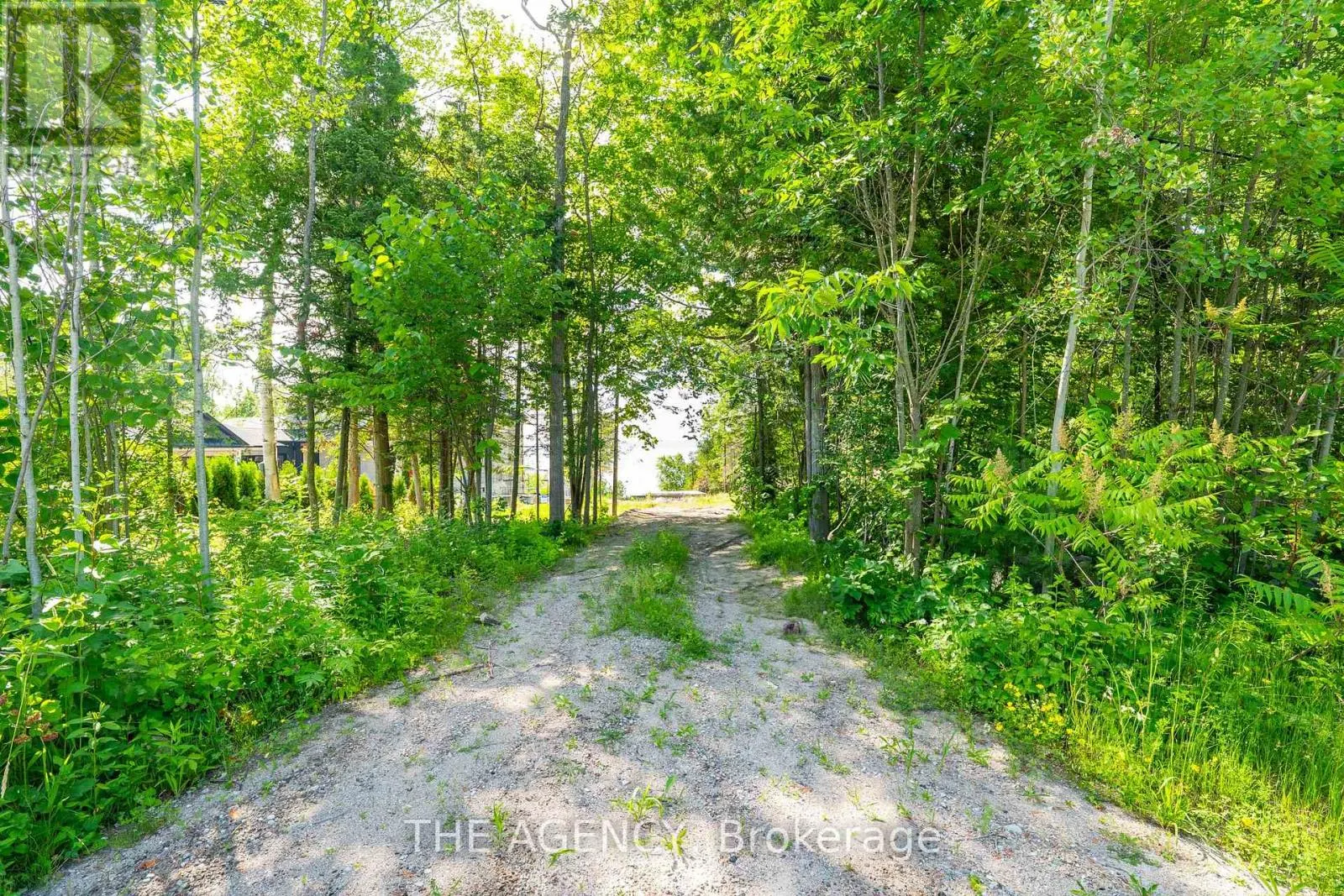 466 SILVER BIRCH DRIVE
