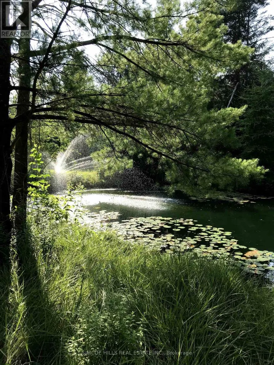 185 MEDONTE SIDEROAD 2 ROAD