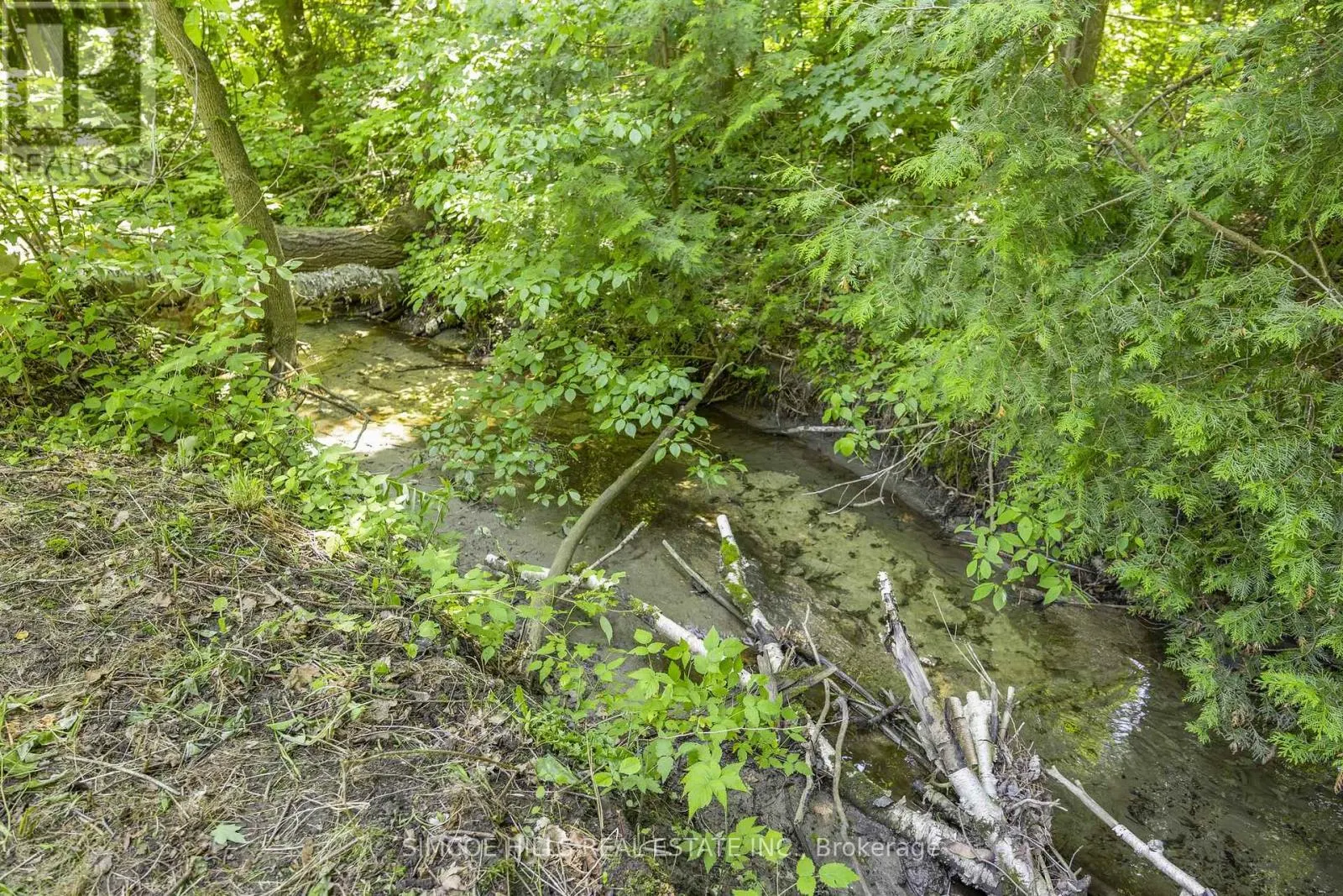 185 MEDONTE SIDEROAD 2 ROAD
