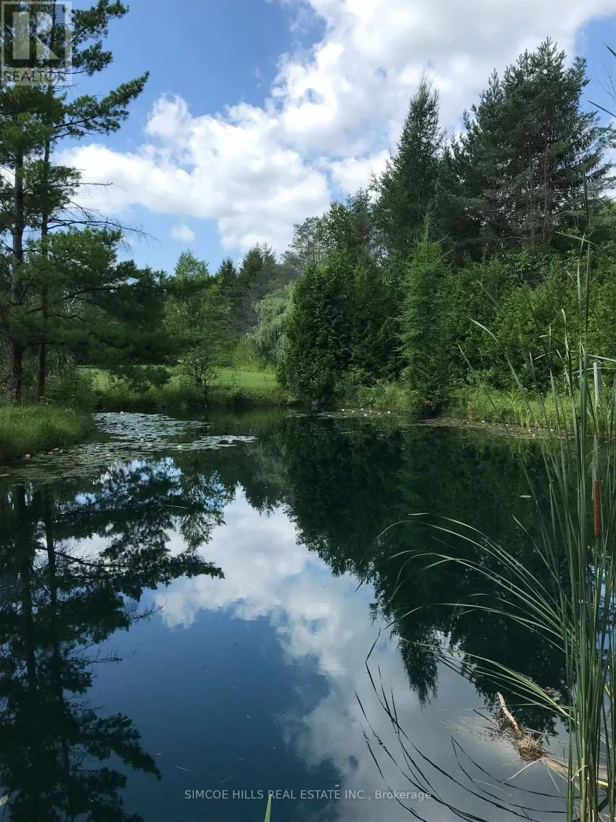 185 MEDONTE SIDEROAD 2 ROAD