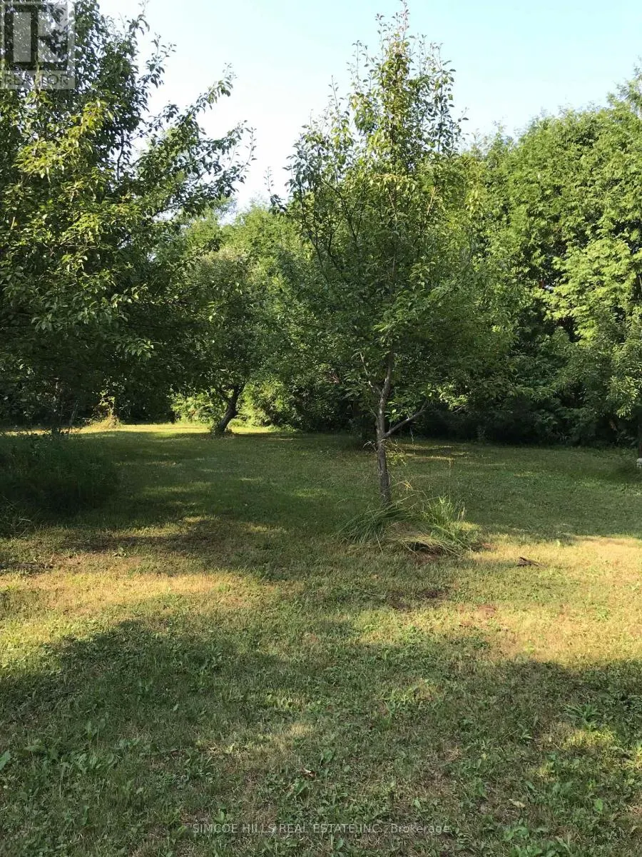 185 MEDONTE SIDEROAD 2 ROAD