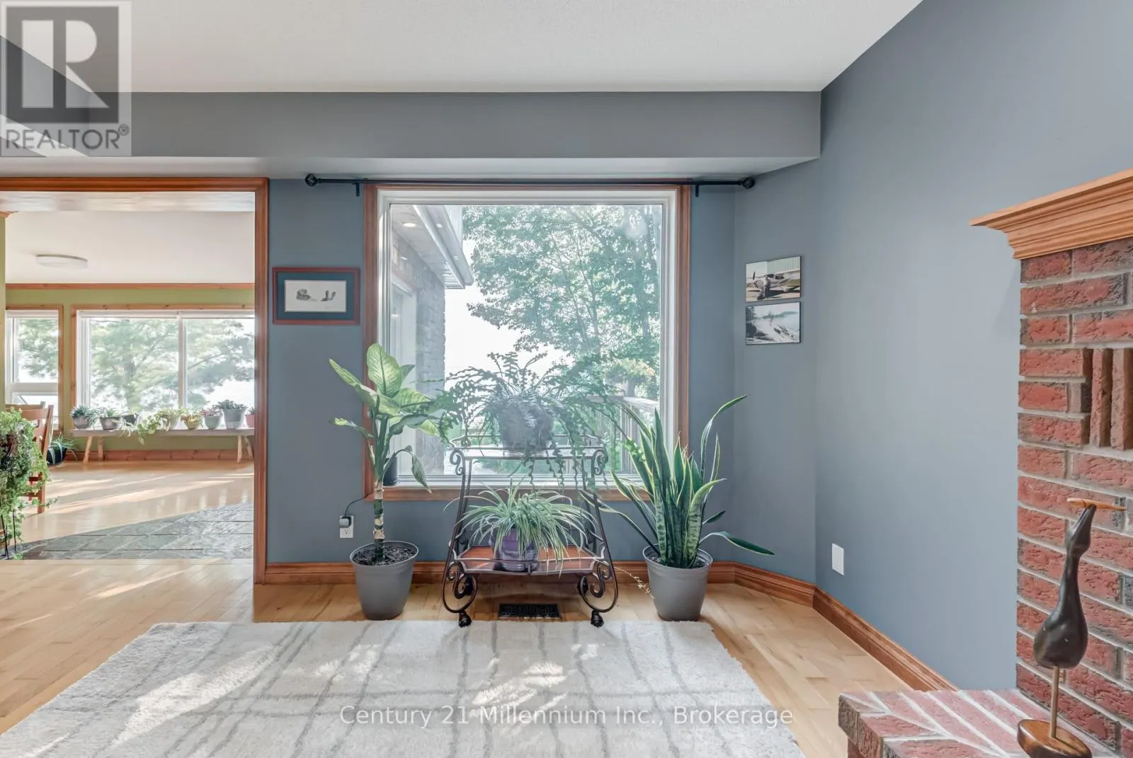 8 WILLOW DRIVE