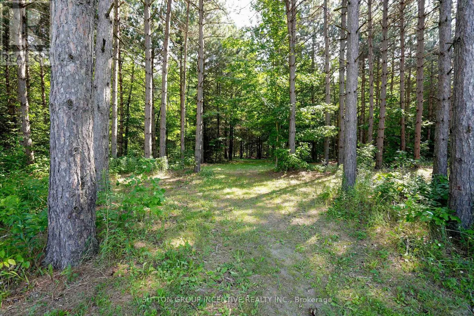 13895 COUNTY RD 27 ROAD